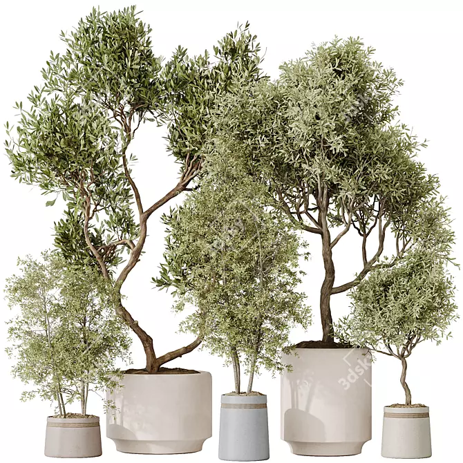 Diverse Indoor Plant Set 3D 3D model image 1