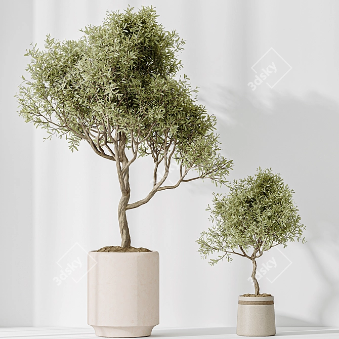 Diverse Indoor Plant Set 3D 3D model image 5