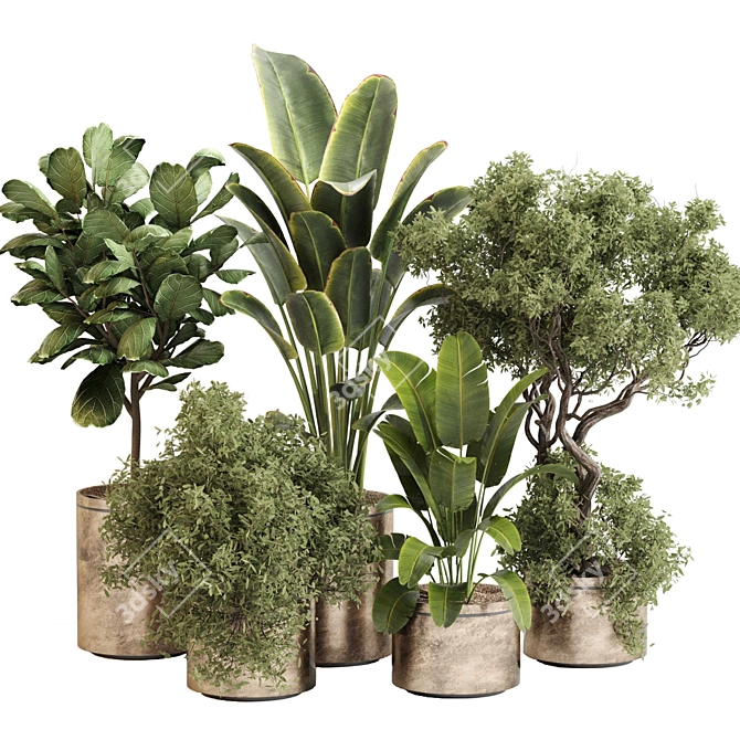 Leafy Green Indoor Plant Set 3D model image 1