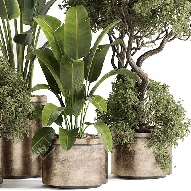 Leafy Green Indoor Plant Set 3D model image 3