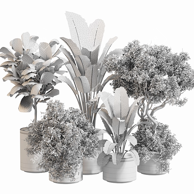 Leafy Green Indoor Plant Set 3D model image 5