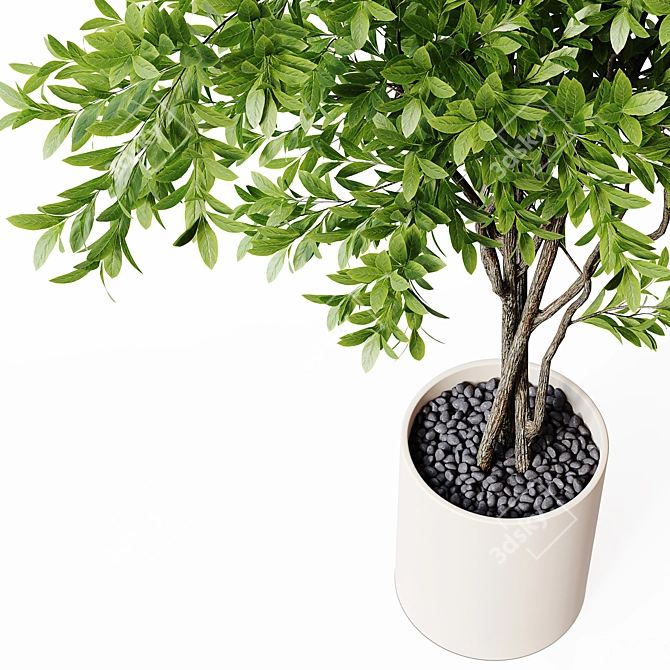 22-Inch Indoor Plant 3D Model 3D model image 4