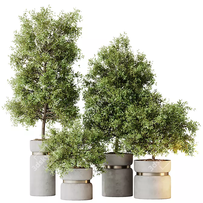 Elegant Olive Tree Set for Yard 3D model image 1