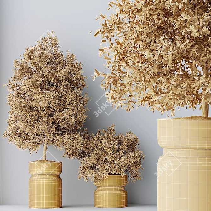 Elegant Olive Tree Set for Yard 3D model image 5