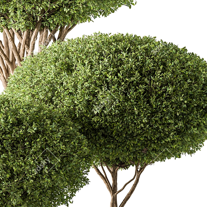 Artificial Topiary Ball Bush Set 3D model image 2