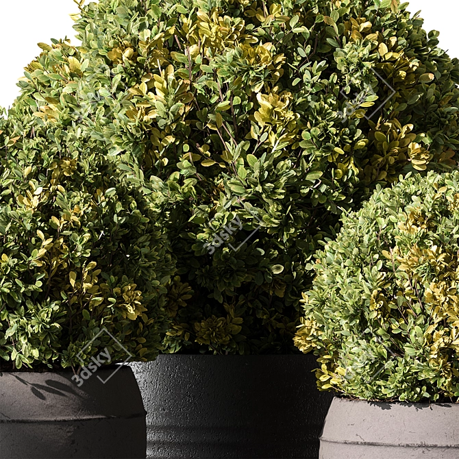 Garden Decor Topiary Ball 624 3D model image 2