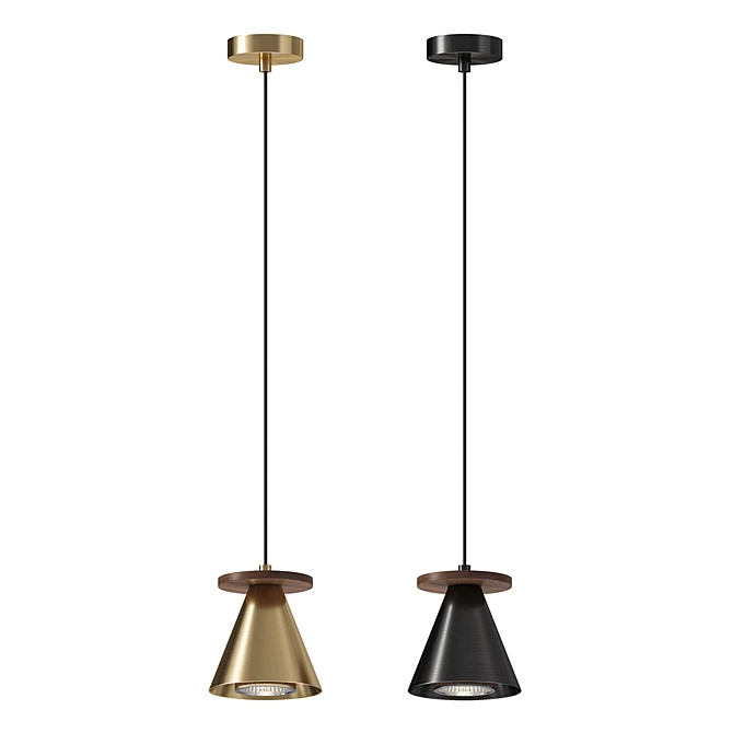 Piet Cone Wood Pendant Lamp 3D model image 2