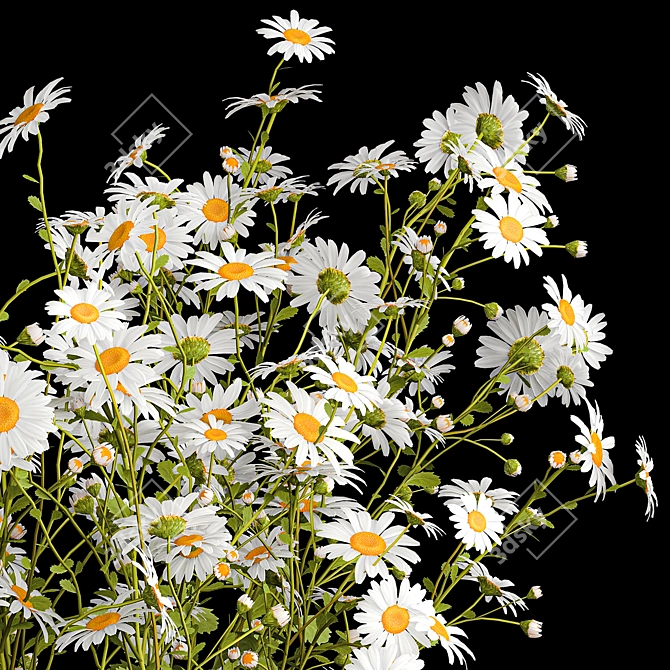 Summer Wildflower Bouquet Set 3D model image 2