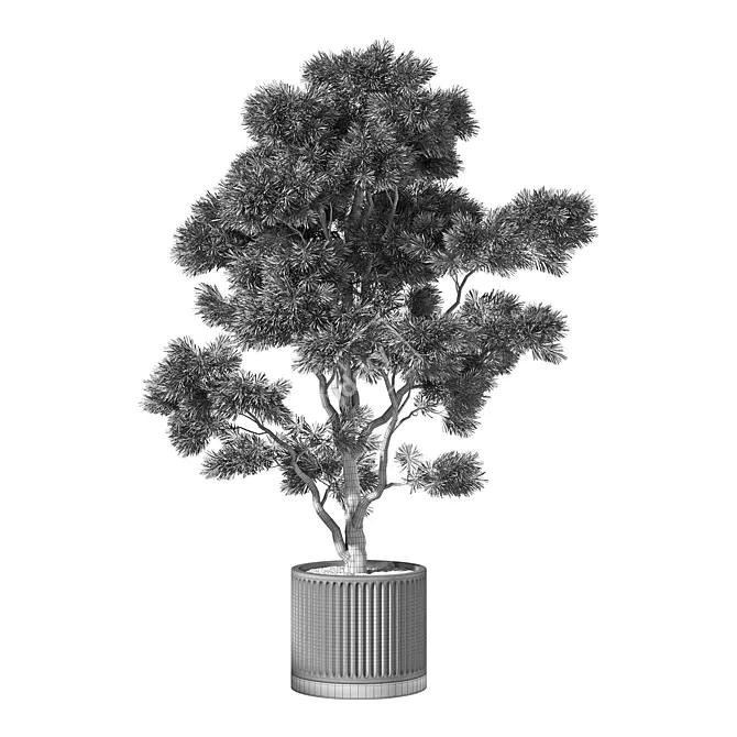 Modern Indoor Plant Collection 3D model image 4