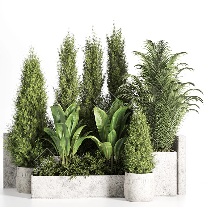 High-Quality Outdoor Plants Set 3D model image 1