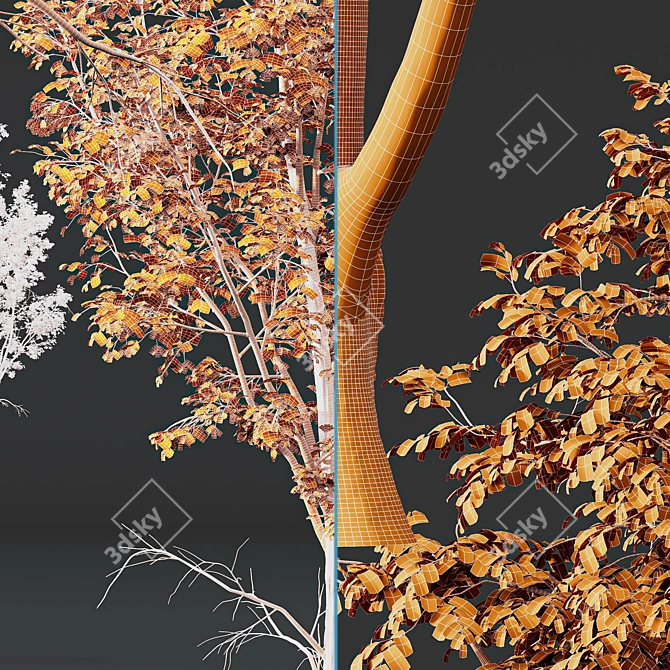 Variety Carpinus Betulus 3D Models 3D model image 7