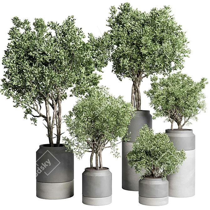 Concrete Vase Plant Set 491 3D model image 1