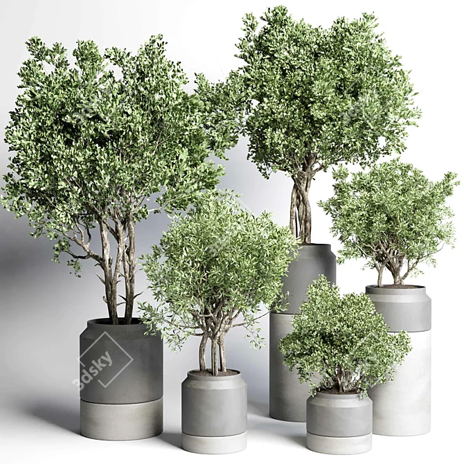 Concrete Vase Plant Set 491 3D model image 2