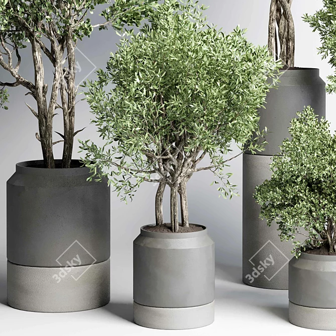 Concrete Vase Plant Set 491 3D model image 3