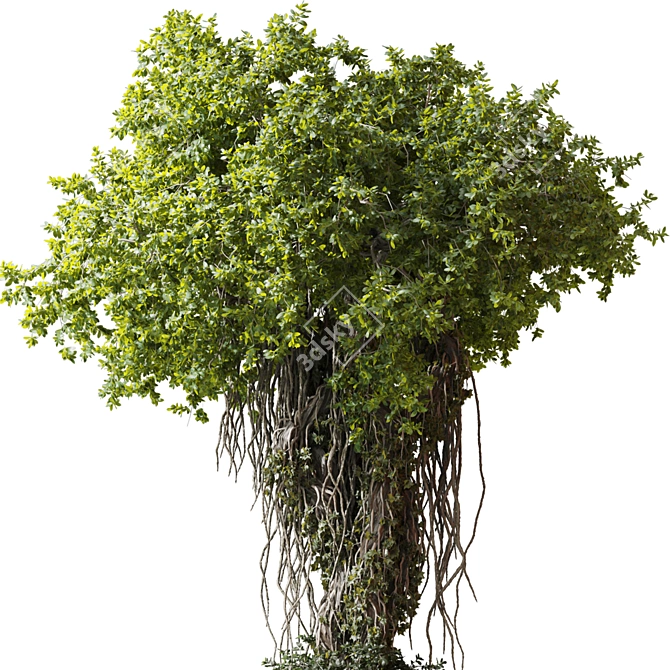 High-Quality 3D Decor Collection 3D model image 4