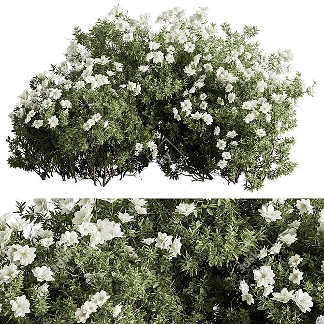 Assorted Floral Bushes Set 144 3D model image 1