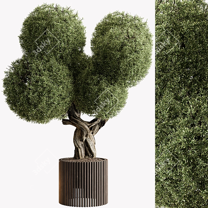 Topiary Ball Outdoor Plant 3D model image 1