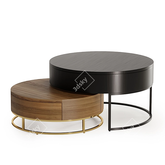 Contemporary Dual-Tone Nesting Coffee Table 3D model image 2