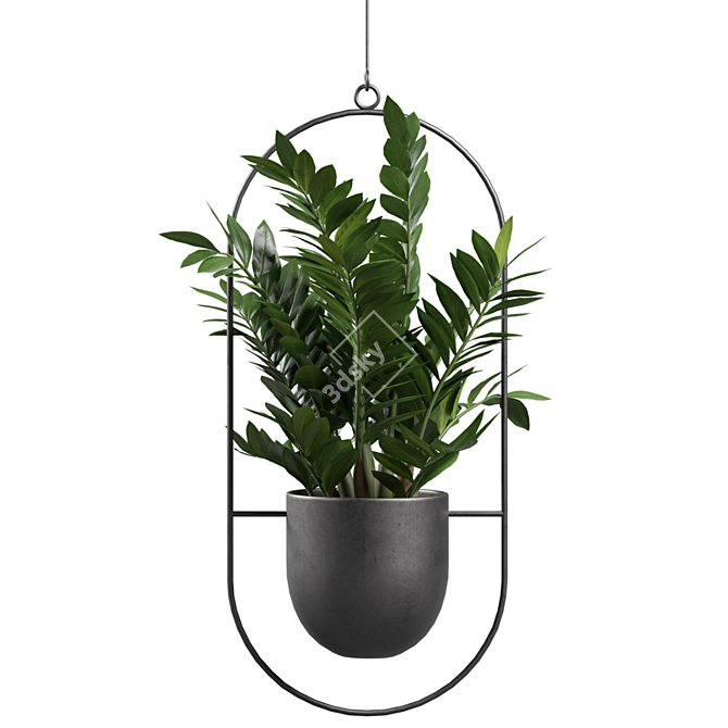 Exotic Indoor Plants 3D Models 3D model image 4