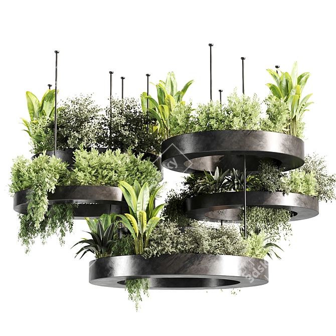 Premium Indoor Hanging Plant Set 3D model image 4