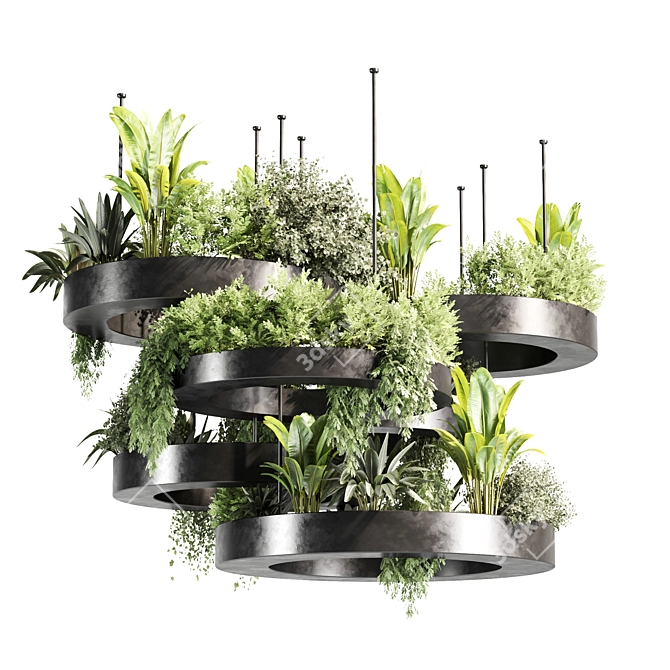 Premium Indoor Hanging Plant Set 3D model image 5