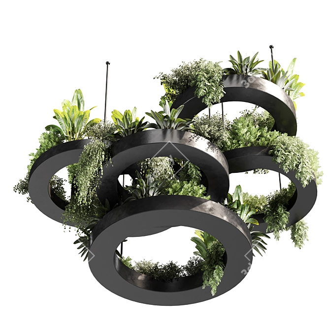 Premium Indoor Hanging Plant Set 3D model image 6