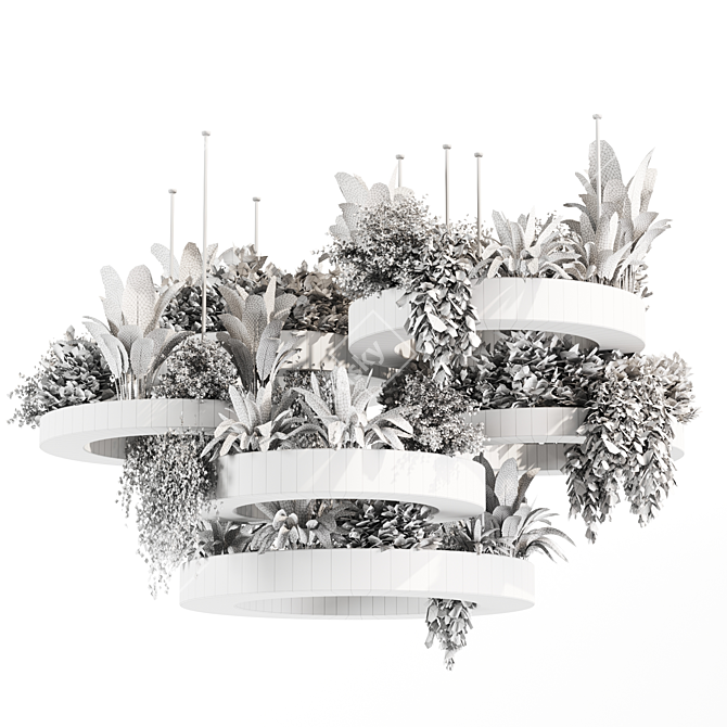 Premium Indoor Hanging Plant Set 3D model image 7