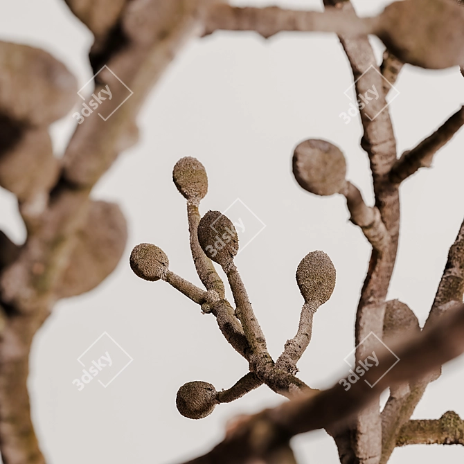 Modern Decorative Set 134 3D model image 5