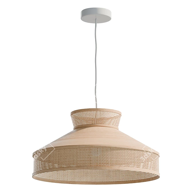  Modern Rattan Pendant Lamp 3D model image 2