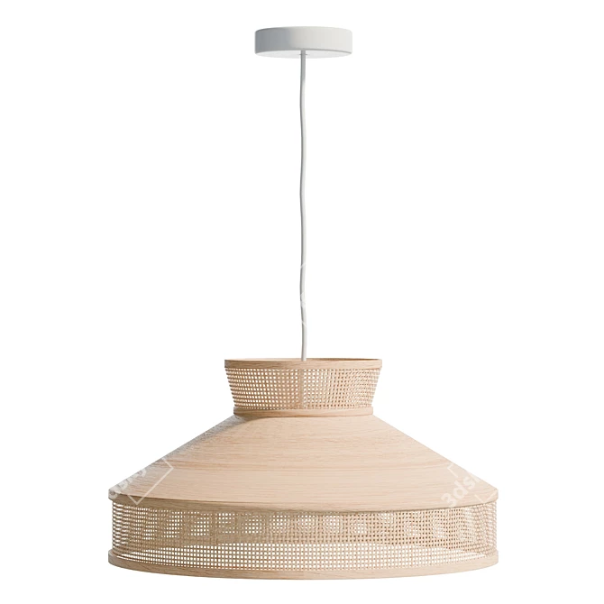 Modern Rattan Pendant Lamp 3D model image 3