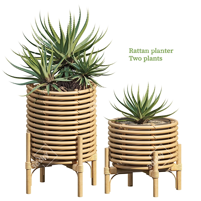 Rattan Planters Set with Vray 3D model image 1