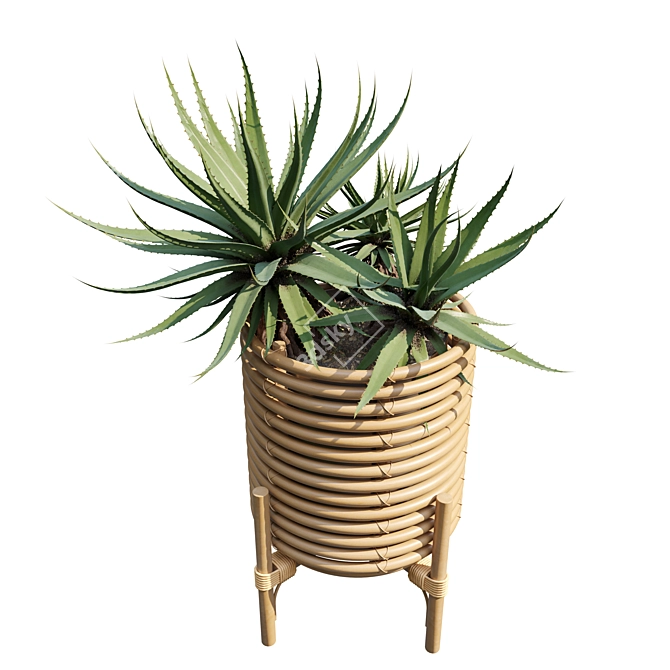 Rattan Planters Set with Vray 3D model image 2