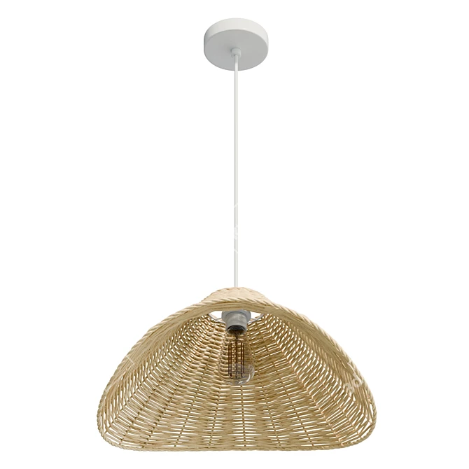 Handcrafted Rattan Pendant Light 3D model image 4