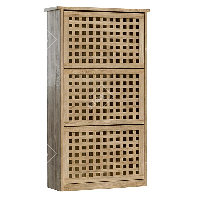  Modern Walnut Shoe Cabinet 3D model image 1