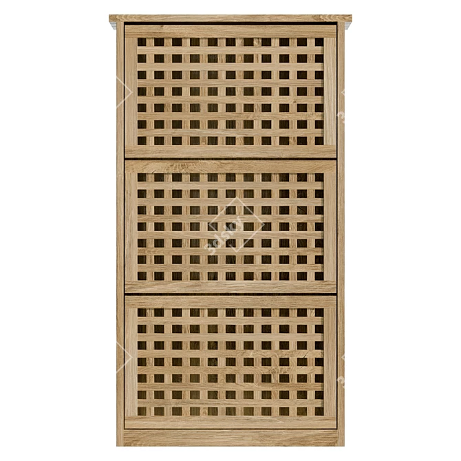  Modern Walnut Shoe Cabinet 3D model image 2