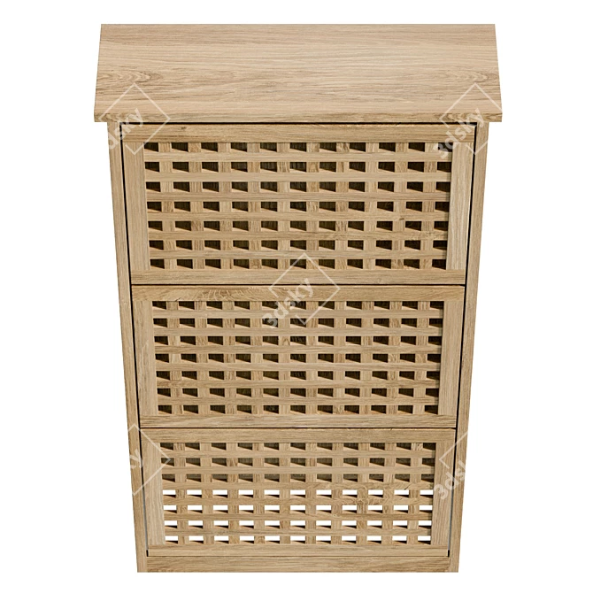  Modern Walnut Shoe Cabinet 3D model image 3