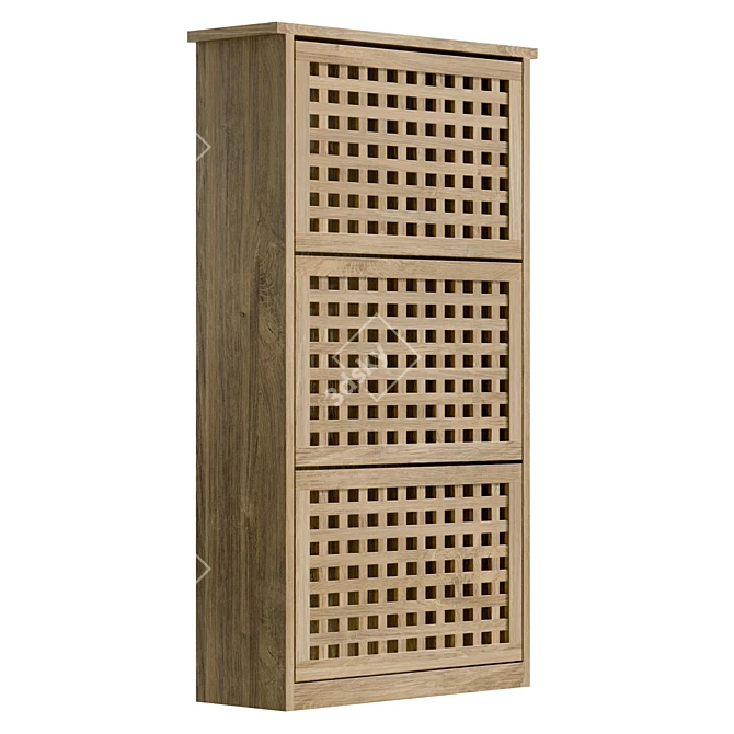  Modern Walnut Shoe Cabinet 3D model image 4