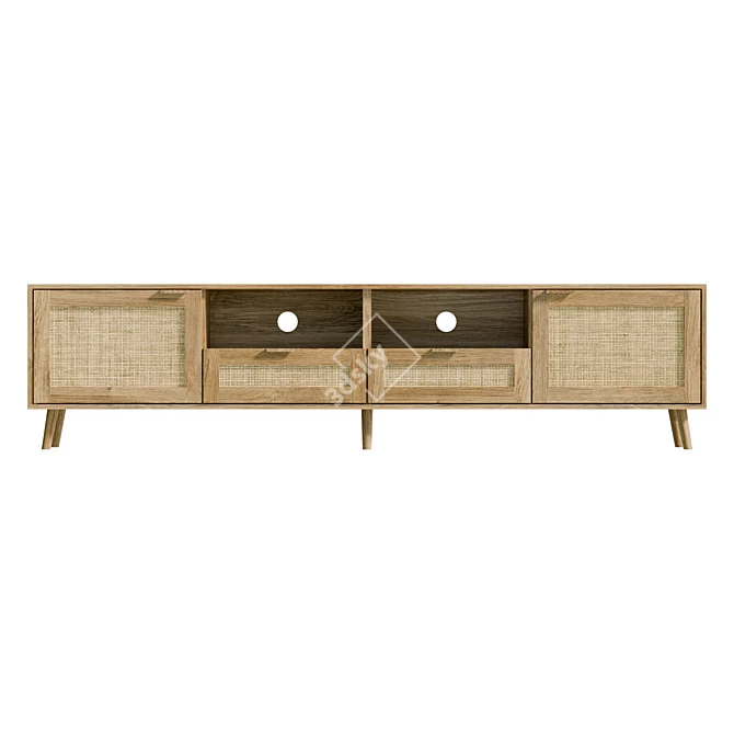Modern Rattan TV Cabinet with Storage 3D model image 2