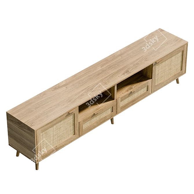Modern Rattan TV Cabinet with Storage 3D model image 5