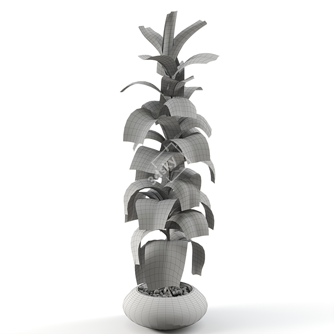 Serene Rubber Tree 047 3D model image 2