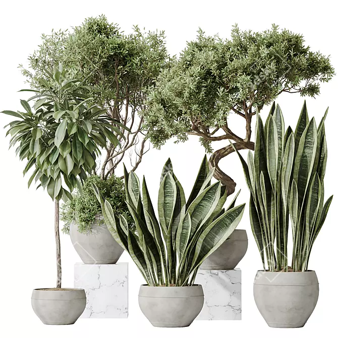 Luxury Indoor Plant Set - 3D Models 3D model image 1