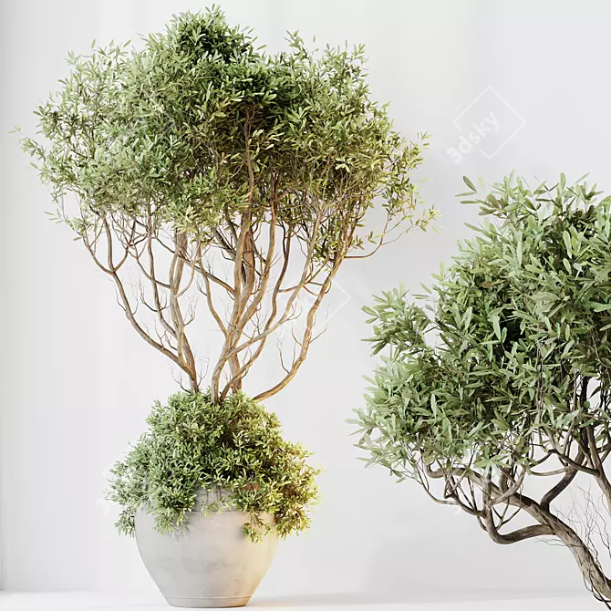 Luxury Indoor Plant Set - 3D Models 3D model image 3