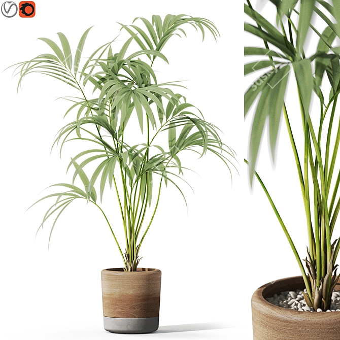 1090 Plants Collection: Detailed 3D Model 3D model image 1