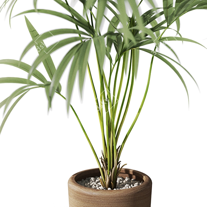 1090 Plants Collection: Detailed 3D Model 3D model image 2