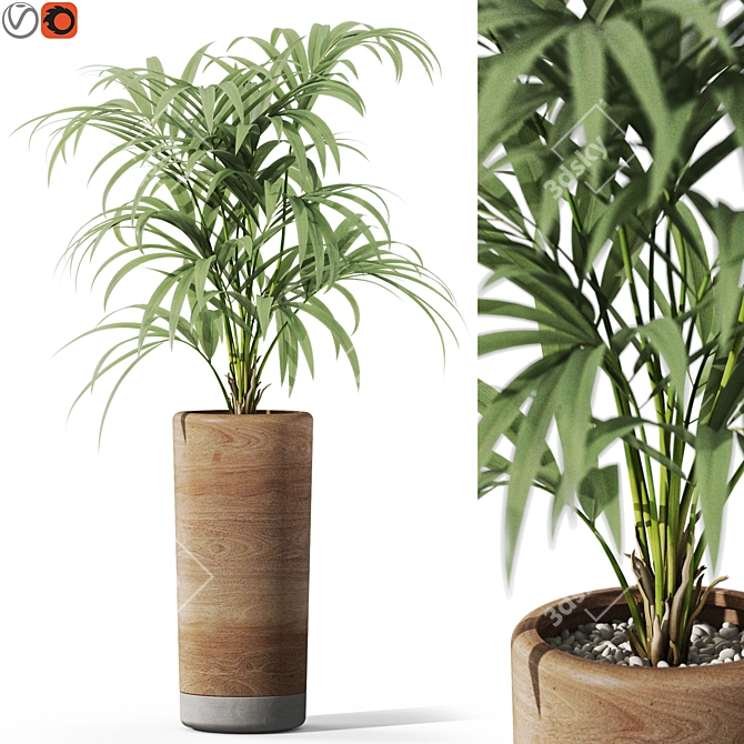 Botanical Chic Plants Set 3D model image 1
