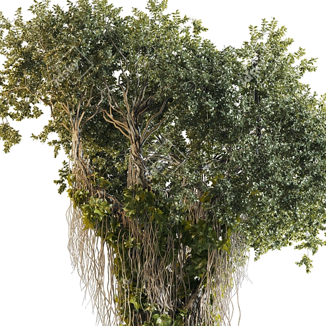 High Quality Jungle Tree Kit 3D model image 9