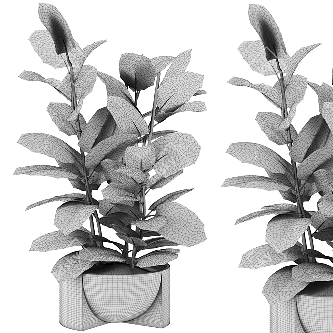 Botanical Collection Set 76 3D model image 3