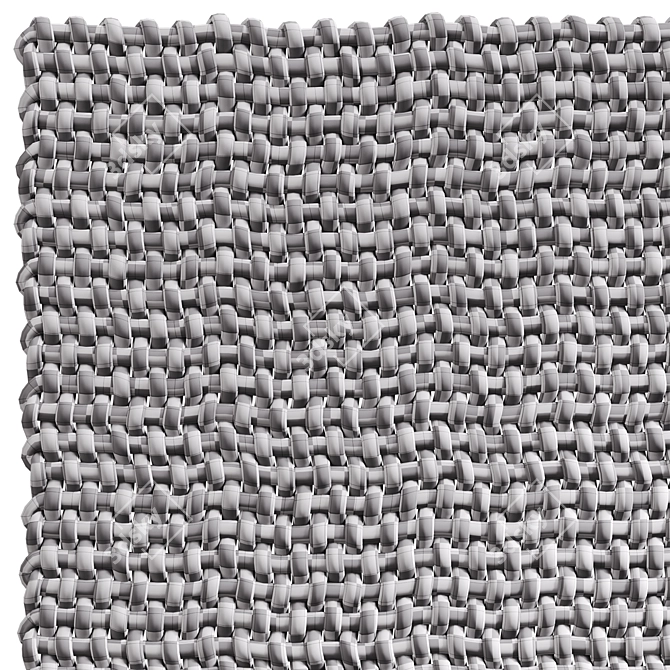 Skido Rope Weave Carpet 3D model image 7