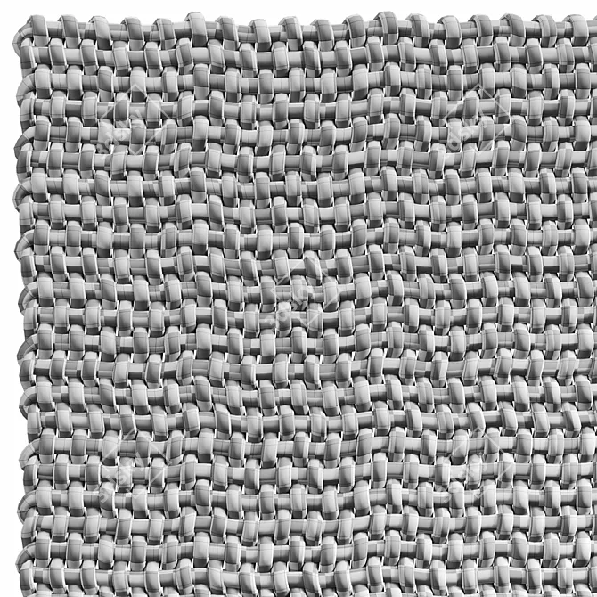 Skido Rope Weave Carpet 3D model image 8