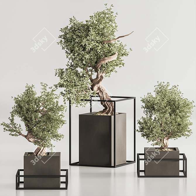 Exquisite Bonsai & Indoor Plant 3D model image 3